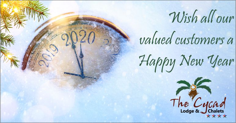 CycadThe's tweet photo. The team at Cycad Lodge would like to wish you peace, love, and laughter in the year to come. Happy New Year!
#cycadlodge #newyear #wheretolive #bestaccommodation #nelspruit #mpumalanga #confrence #afristay #bedandbreakfast #bestservice #piecefullaccommodation #airbnb #guesthouse https://t.co/NetMIovTBM