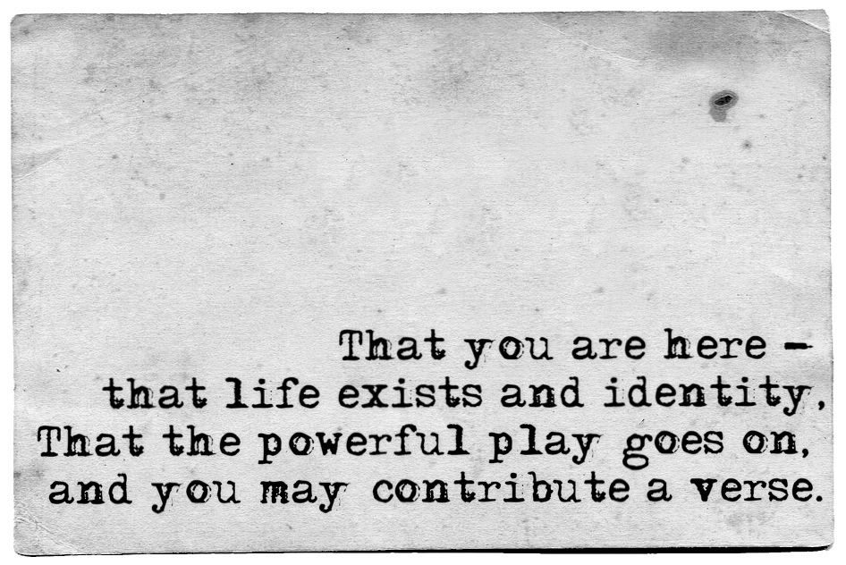 anna_c_box's tweet photo. What will your verse be? #deadpoetssociety https://t.co/h681BI9Imb