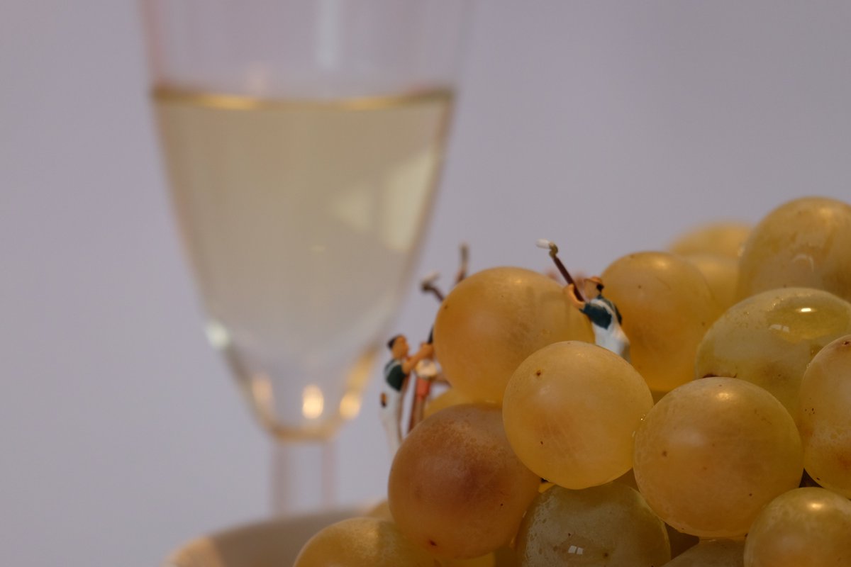 1-Dsprs del meu aniversari, avui és 1 dels dies preferits de l’any. Trec a passeig la nena petita que porto a dintre i em passo el dia dient: “no penso tornar a esmorzar fins l’any que ve”; “no em dutxaré més fins l’any que ve”... 
OBRO FIL 👇