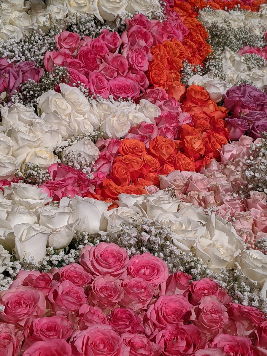 LCFloat's tweet photo. Awesome work by our crews today! Most of the birds are on the float, and the base is almost done. Join us Tuesday 12/31 at 3:18pm on Hampton for final judging. Come a little early to enjoy the animation and music! #RoseParade #LCFTRA https://t.co/99aXEuSS3h