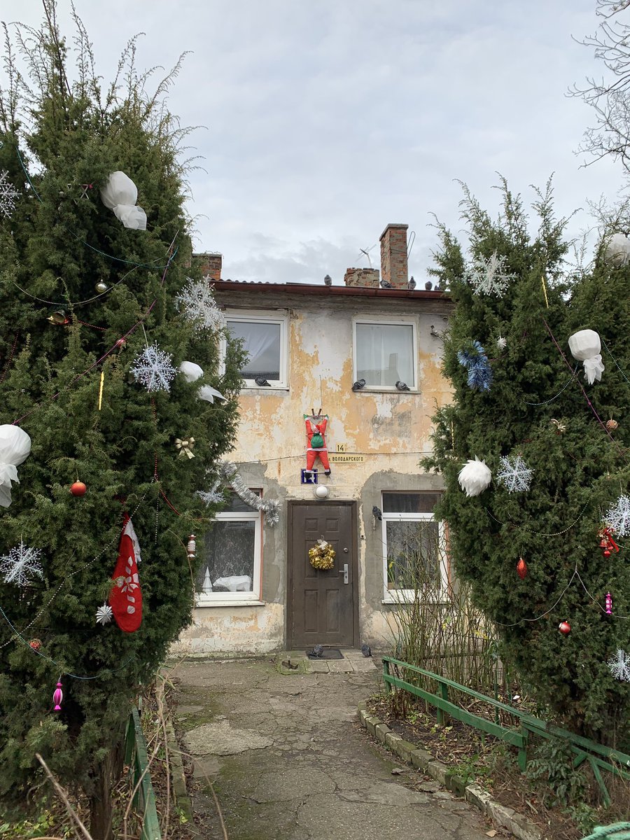 ulrikh88's tweet photo. фотокарточка для настроения ❄️🎄 https://t.co/NhXrFYbpcz