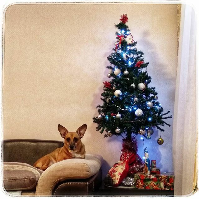 AlexKrutev's tweet photo. #2020 #newyear https://t.co/ohNGKKaiGi https://t.co/Xq9uRhCulu
