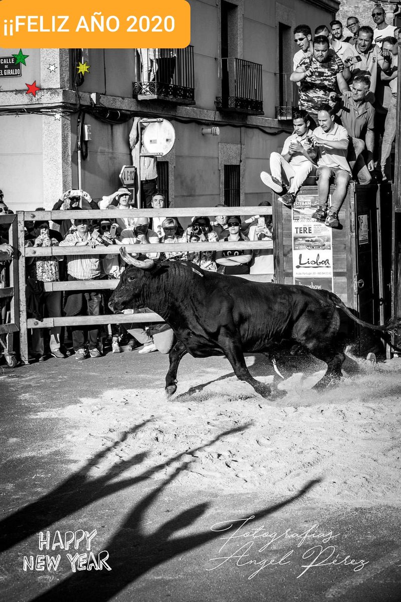 ATC SAN ANTOLIN tweet media