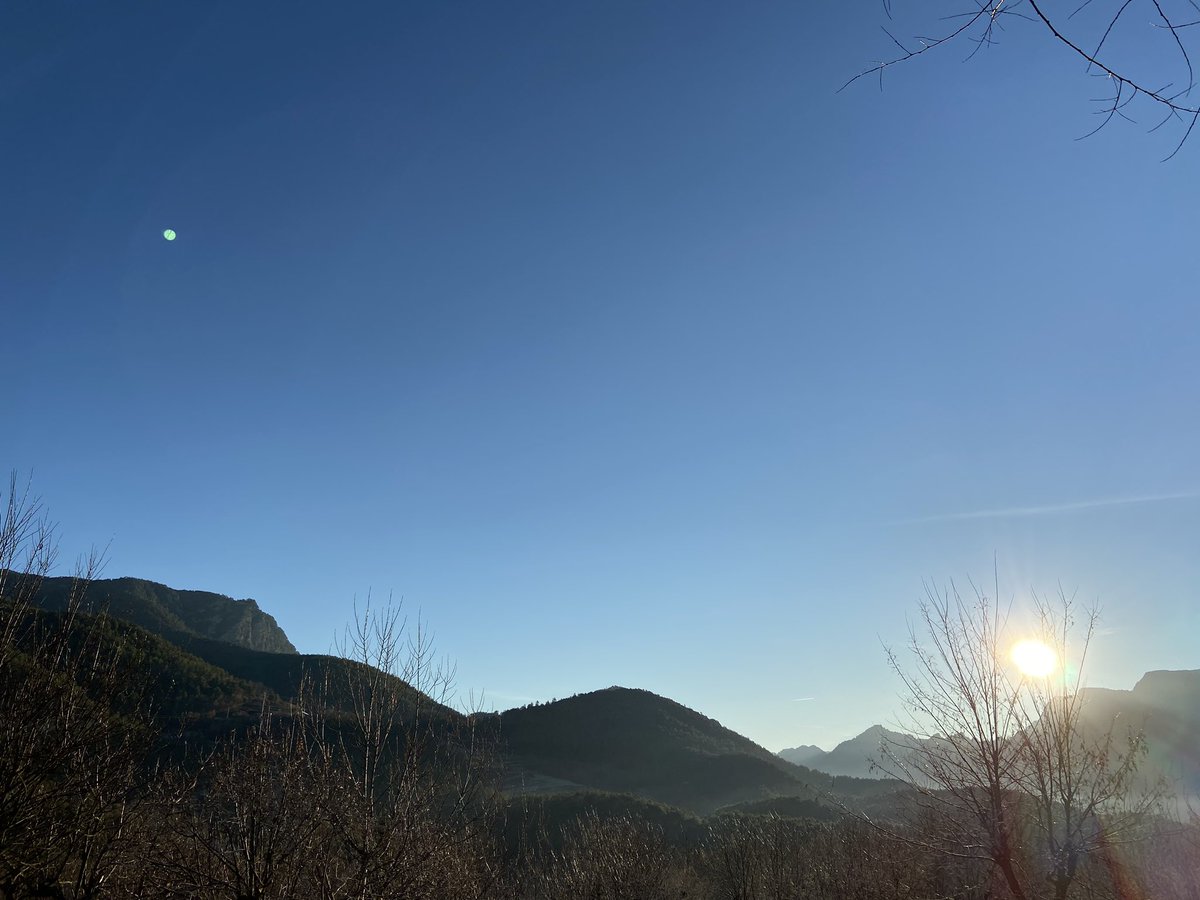 PardoMestre's tweet photo. #BonDia #Lleida #Mon  2020. Que bé comenci i que millor acabi. #xtotes #natura #viure @la_veina  💜💚 https://t.co/35zeJTtjnZ