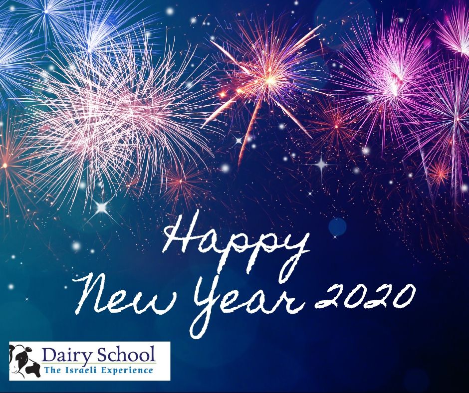 We wish all Happy and Successful New Year 2020!