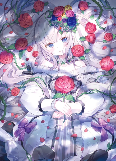 #2019年自分が選ぶ今年の4枚 
今年も一年ありがとうございました!よいお年を～!? 