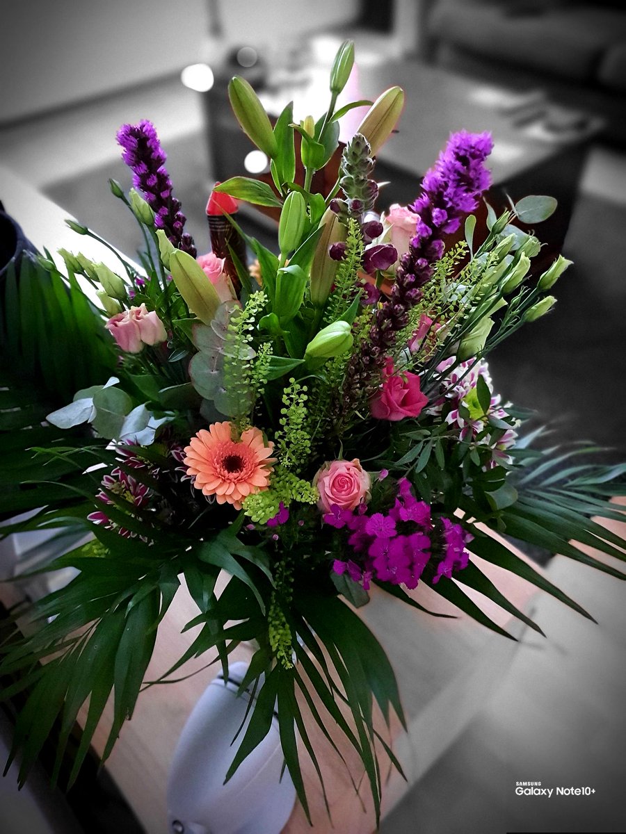 henklbr's tweet photo. It's Tuesday:
No #roses 🌹 this week, but a #NewYear 🎇 bouquet! 💐😍
Happy / Healthy New Year... 🎇
Picture #Samsung #GalaxyNote10Plus 📱BSL7 
#LiveFocus #ColourPoint #withGalaxy https://t.co/oWNoYqKRBH