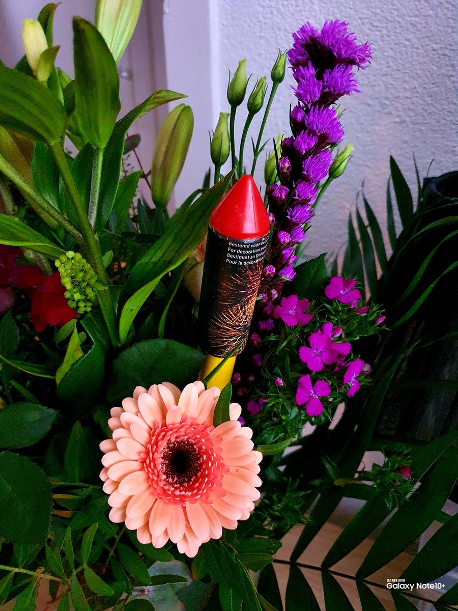 henklbr's tweet photo. It's Tuesday:
No #roses 🌹 this week, but a #NewYear 🎇 bouquet! 💐😍
Happy / Healthy New Year... 🎇
Picture #Samsung #GalaxyNote10Plus 📱BSL7 
#LiveFocus #ColourPoint #withGalaxy https://t.co/oWNoYqKRBH