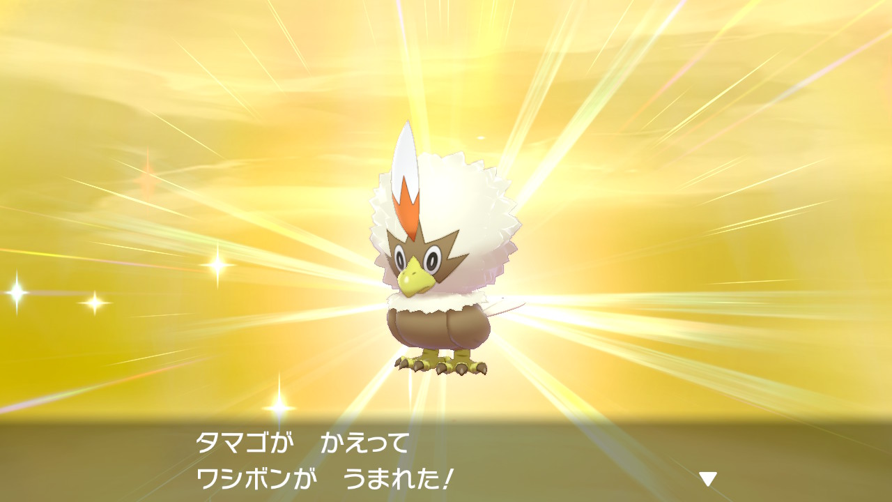 ろづ希 在 Twitter 上 色違いワシボン生まれたー T Co F5qhelpifp Twitter