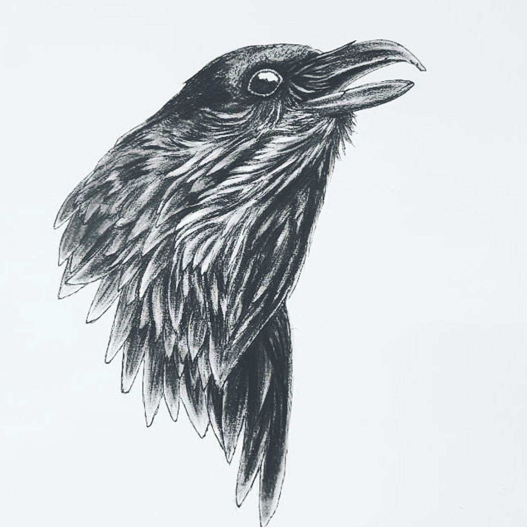 AureaToraArt's tweet photo. Pencil drawing
Raven study
#illustration #pencilmagic #hellotwitter https://t.co/boTIU2Em7h