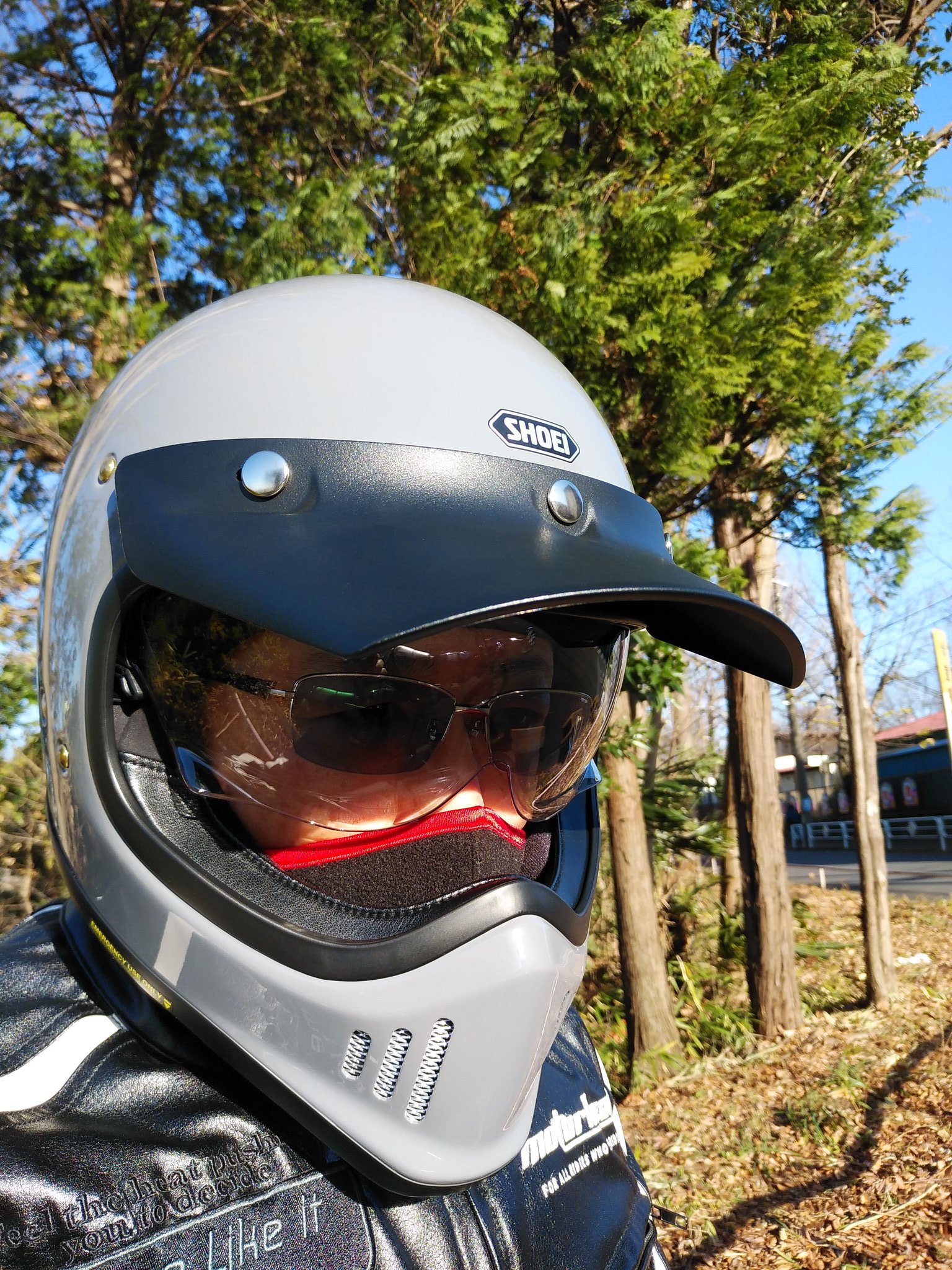 SHOEI EX-ZERO バサルトグレー-