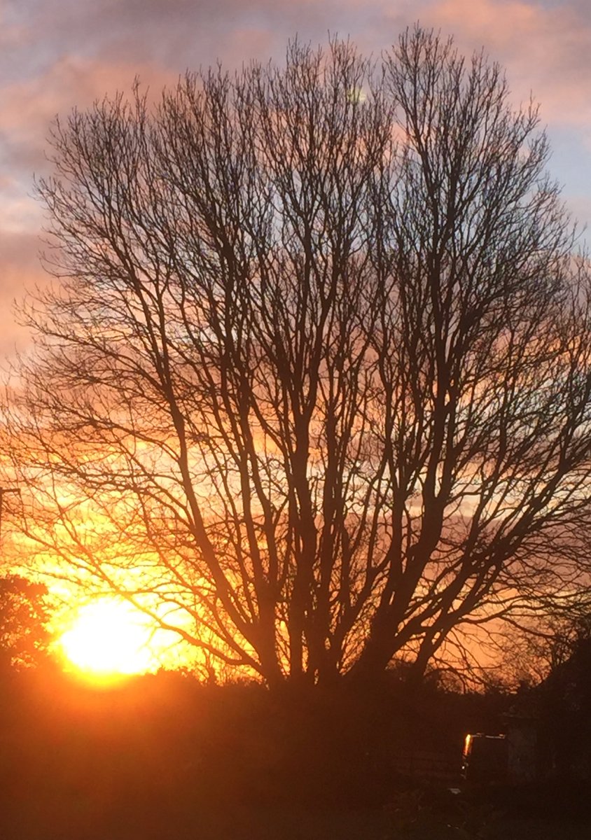 A very Happy New Year to all our Members &amp; Followers! Athbliain faoi shéan agus mhaise daoibh!