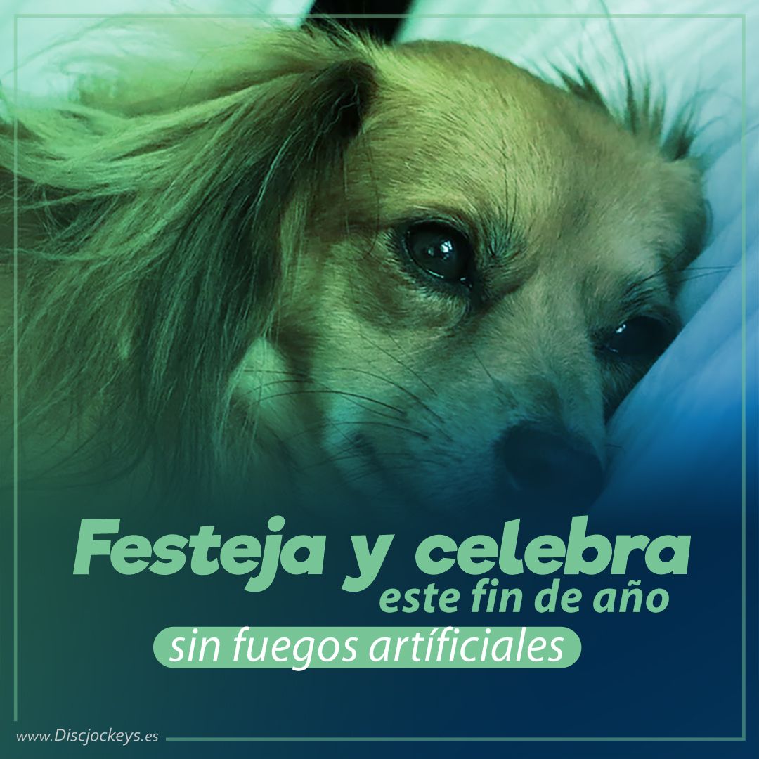 Discjockeys_es's tweet photo. Les deseamos un año lleno de mucha salud y prosperidad.

Celebra con prudencia, y recuerda que los juegos pirotécnicos aterran a nuestros cuadrúpedos compañeros, es por ello que recomendamos evitar lo máximo posible el uso de estos.

#AnoNuevo2020 #Felizaño #2020 #FelicesFiestas https://t.co/dgVhQyGx5b