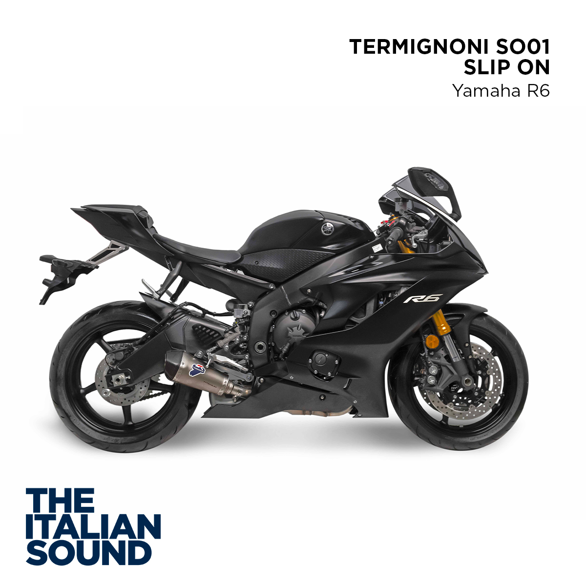 Termignoni Official tweet media