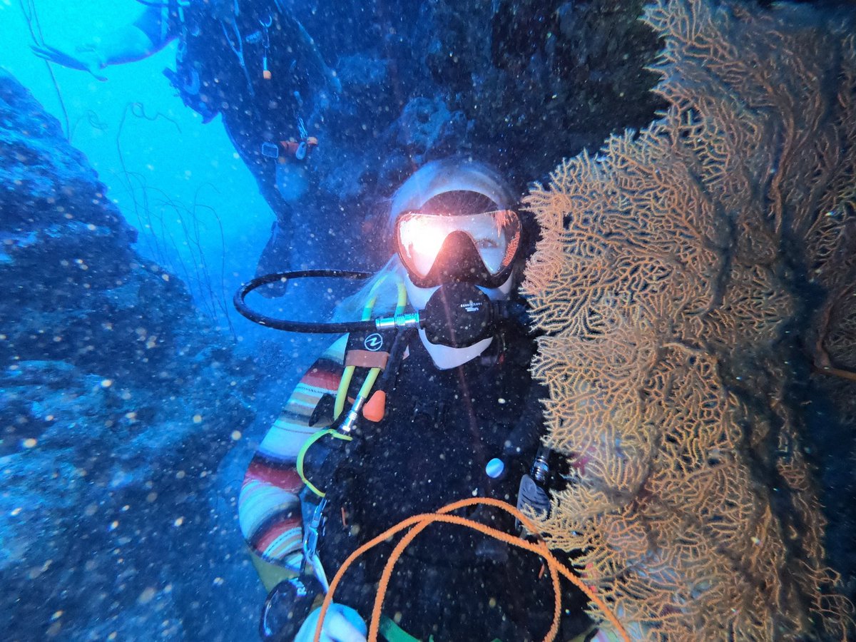 melon_mchenry's tweet photo. And scene #lastdive https://t.co/W58Hg0dKPj