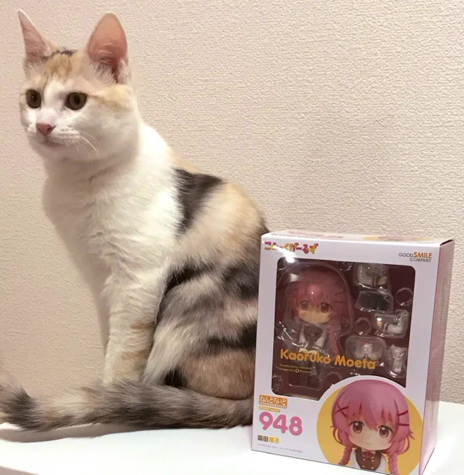 かおすのねんどろいどが出て嬉しかったですの1〜2月頃 