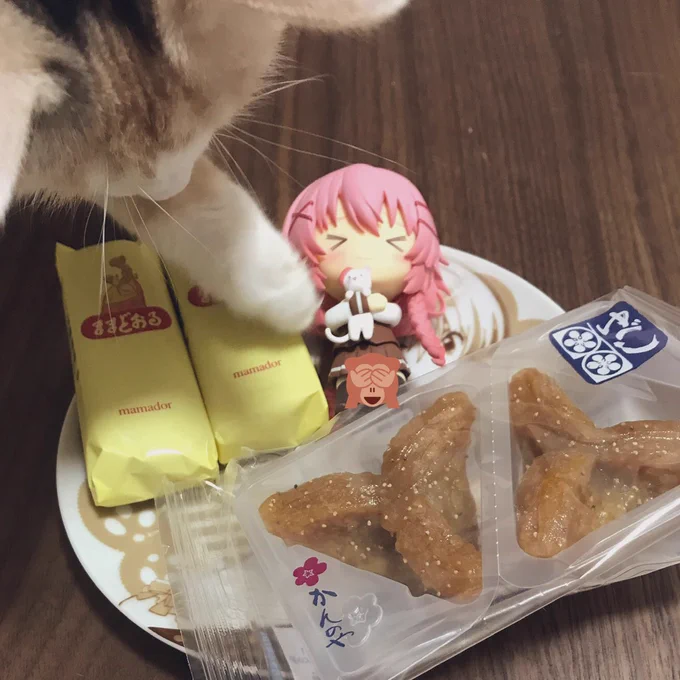 かおすのねんどろいどが出て嬉しかったですの1〜2月頃 