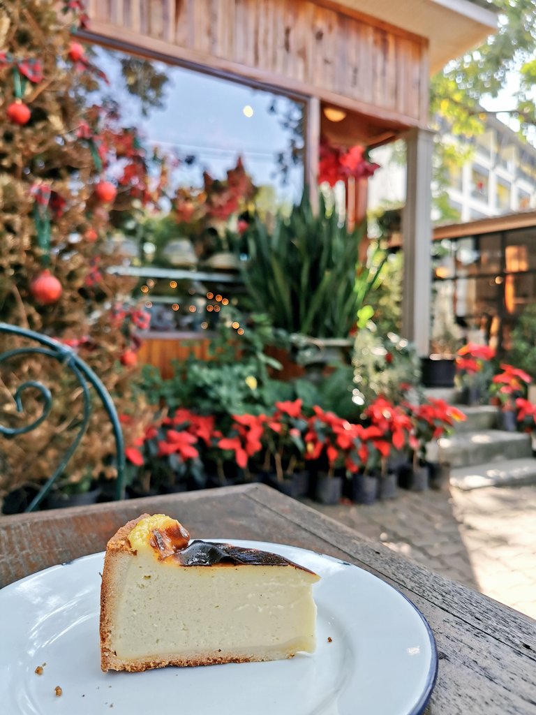 lattelover_2018's tweet photo. ขนม กาแฟจะเยียวยาหัวใจเรา..
นั่งในสวนจิบกาแฟเพลิน ๆ ขนมก็อร่อย
#forestbake #aroi #reviewchiangmai #chiangmai
#คาเฟ่เชียงใหม่ https://t.co/tPZil7yaVD