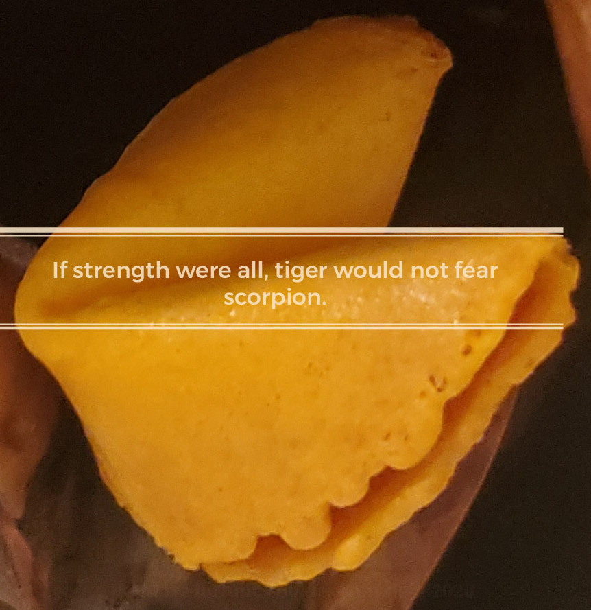 Mulinjer_RD's tweet photo. #fortunecookies https://t.co/E2fwGEAVqK