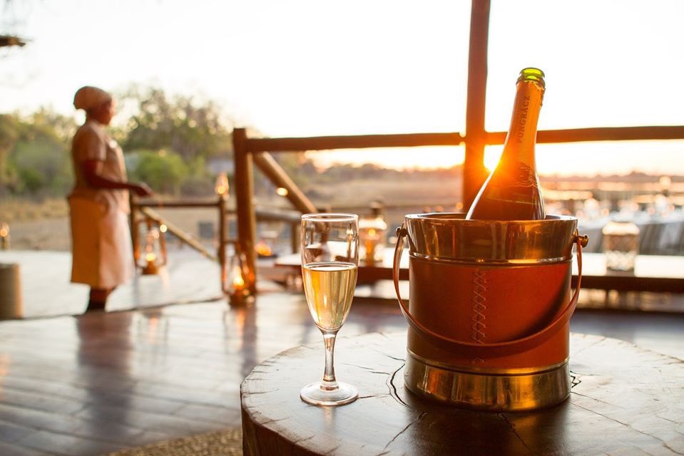 realafrica's tweet photo. Starstruck in the #OkavangoDelta. What a magical way to see the New Year in - guests staying at Kanana have the option of swapping a night in their safari tent for a night under the stars #sleepoutdeck #starbed.
Happy New Year π₯.
π·, @KerDowneyBW #Botswana #Safari #Botswana https://t.co/8hmS8fEo8Z