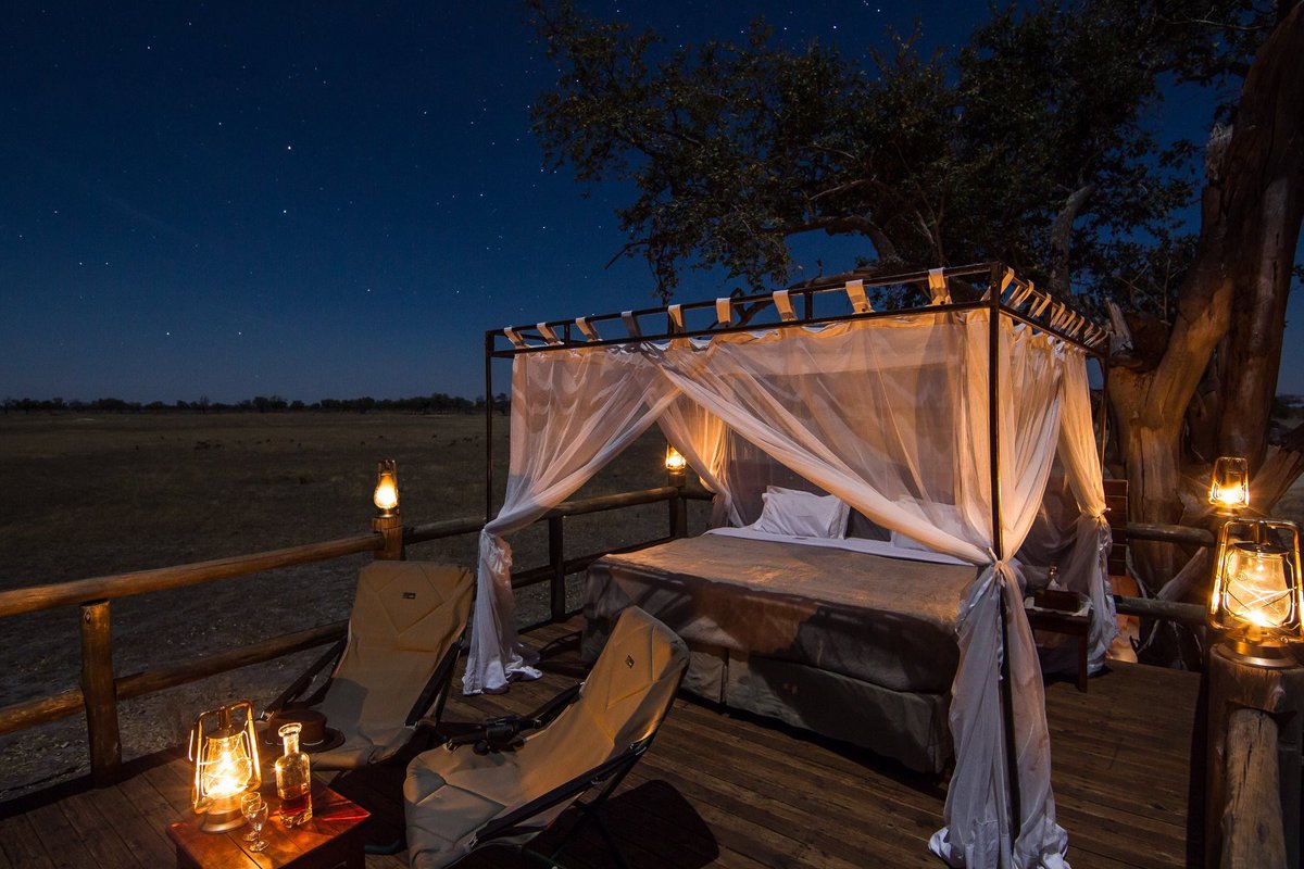 realafrica's tweet photo. Starstruck in the #OkavangoDelta. What a magical way to see the New Year in - guests staying at Kanana have the option of swapping a night in their safari tent for a night under the stars #sleepoutdeck #starbed.
Happy New Year π₯.
π·, @KerDowneyBW #Botswana #Safari #Botswana https://t.co/8hmS8fEo8Z