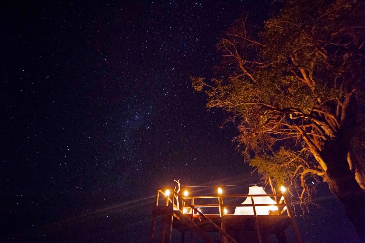realafrica's tweet photo. Starstruck in the #OkavangoDelta. What a magical way to see the New Year in - guests staying at Kanana have the option of swapping a night in their safari tent for a night under the stars #sleepoutdeck #starbed.
Happy New Year π₯.
π·, @KerDowneyBW #Botswana #Safari #Botswana https://t.co/8hmS8fEo8Z