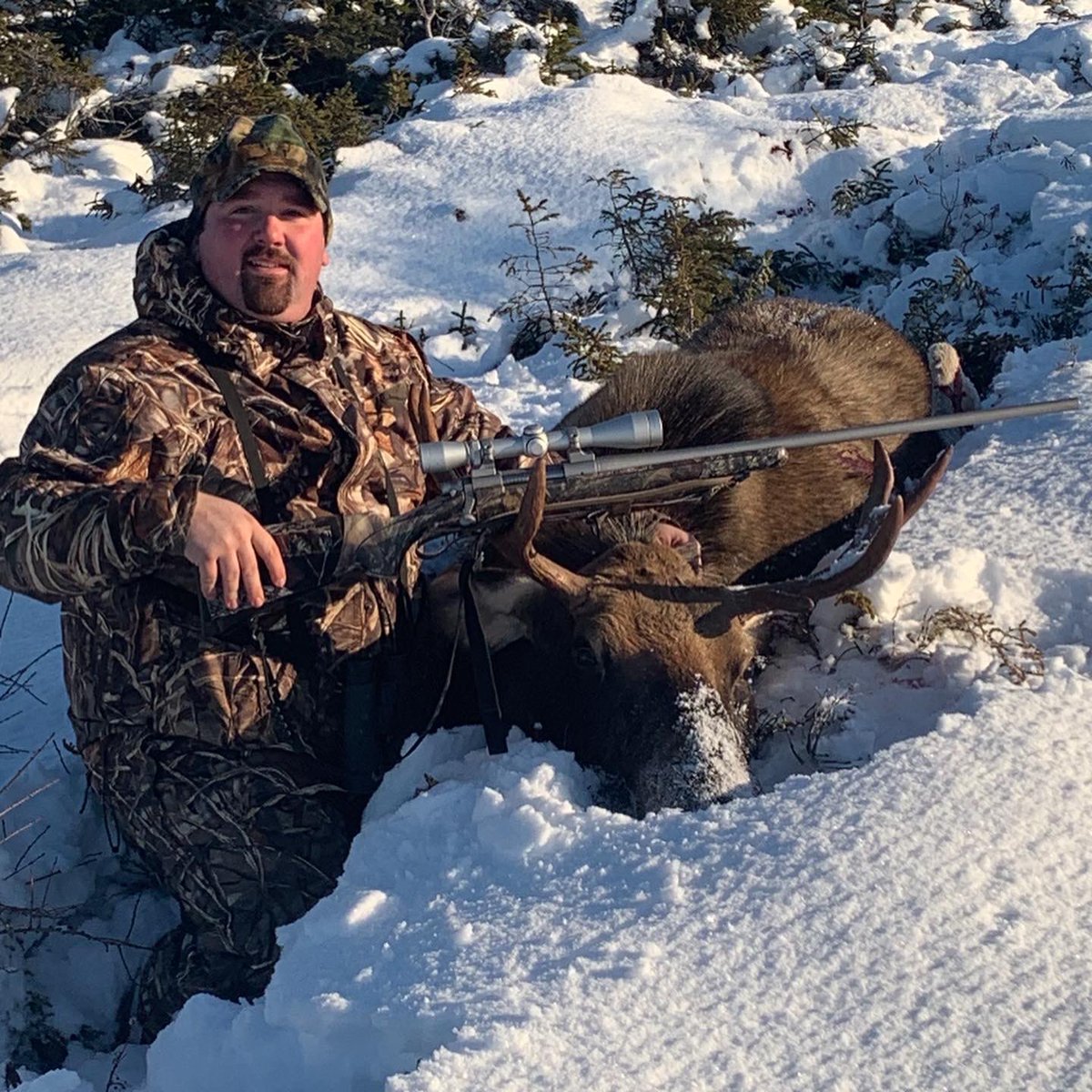 Applin93's tweet photo. 2019 moose hunt n da books ! https://t.co/V0wM6xBvM3