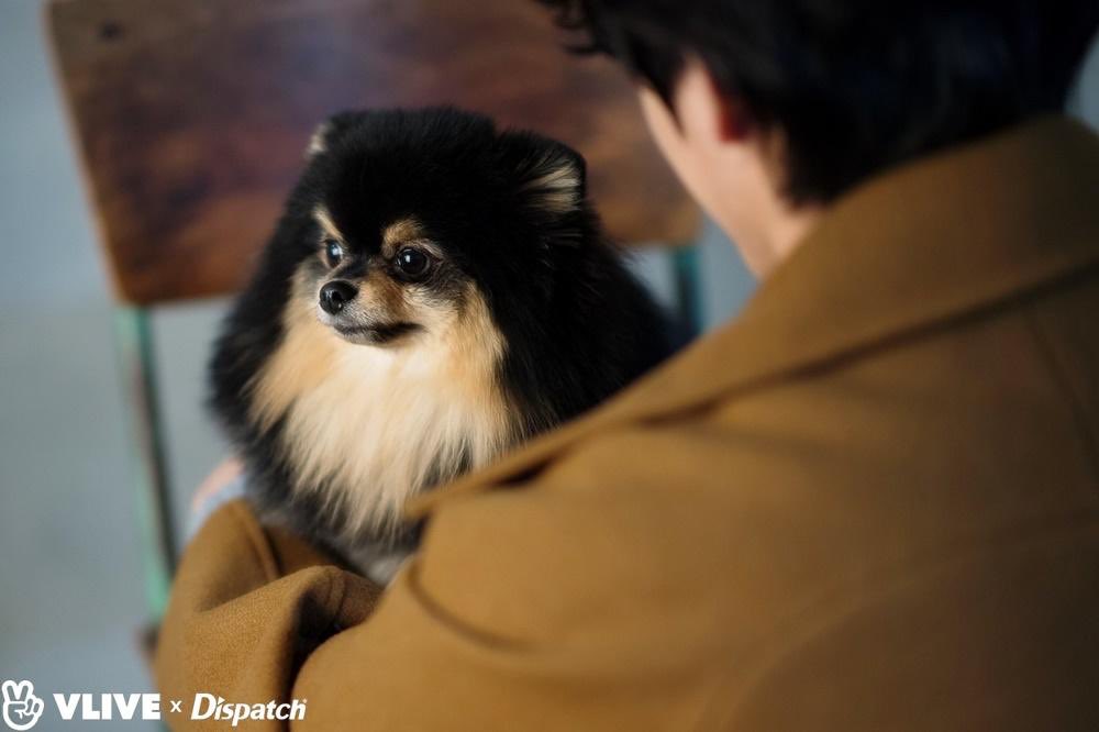 taehyungpic's tweet photo. [ Vlive Dispatch ] 
🐯💜🐶

https://t.co/p6M7Bi0rqD

#방탄소년단 #뷔 #방탄소년단뷔 #태형 #BTS #V #BTSV #taehyung @BTS_twt https://t.co/21ZdG8JYAt