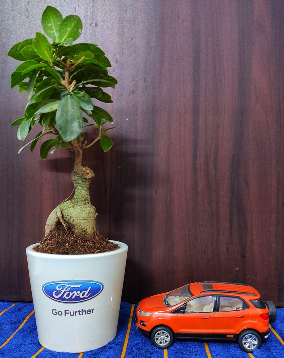 nkumarblr's tweet photo. .. and the New Year celebration begins. Thanks a lot @FordIndia @FordIndiaHelp @nikhilng for this beautiful gift on new year eve. This is what we call - "KUCH ALAG SI, FAMILY WALI FEELING". 😍
#FordEcoSport #FordMoments #DiscoverMoreInYou #EcoSquads @EcoSquadsIndia https://t.co/Yun4EDT5AP