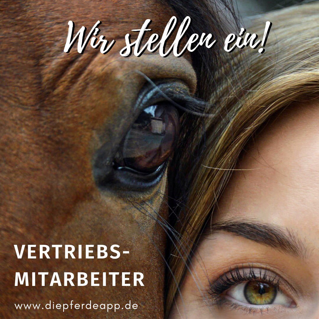 diepferdeapp's tweet photo. Wir suchen Verstärkung im Vertrieb!
***GERNE TEILEN!***

Bei Interesse melde Dich gerne bei uns unter info@diepferdeapp.de 😊
🐎

Wir freuen uns auf Dich!

#stellenanzeige #stellenangebot #job #jobangebot #beruf #jobsuche #bewerbung #praktikum #startups https://t.co/sqq37ZiQ1f