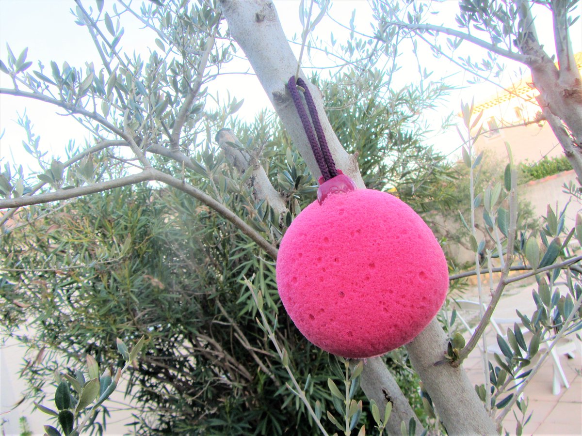 ThCityandBeauty's tweet photo. Mon retour sur les éponges 2 en 1 Foamie shoppées chez @notinofr 😍😘😊😘
https://t.co/bGhEKY9uns
#notino #foamie #theberrybest #foamit #vegan #epongededouche #showersponge #foamingcleansercore #duschschwamm #cremeschaumherz https://t.co/B6o4EfqwkZ