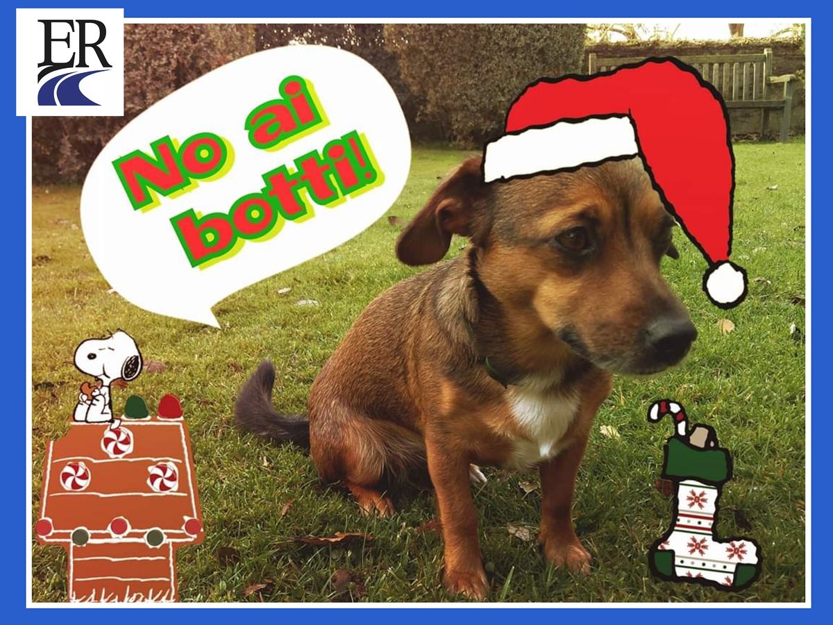 Edilfar_Rent's tweet photo. Anche #EdilfarRent e la nostra Diana dicono #NoaiBotti di #Capodanno... Divertiamoci, ma senza spaventare i nostri amici pelosi! 💖🐶🐱
#buttaibotti #mascotte #sansilvestro #newdecade #31dicembre #animallovers #2020iscoming #newyearseve #noleggio #rent #smart #mercedesbenz https://t.co/nrezfCKBZu