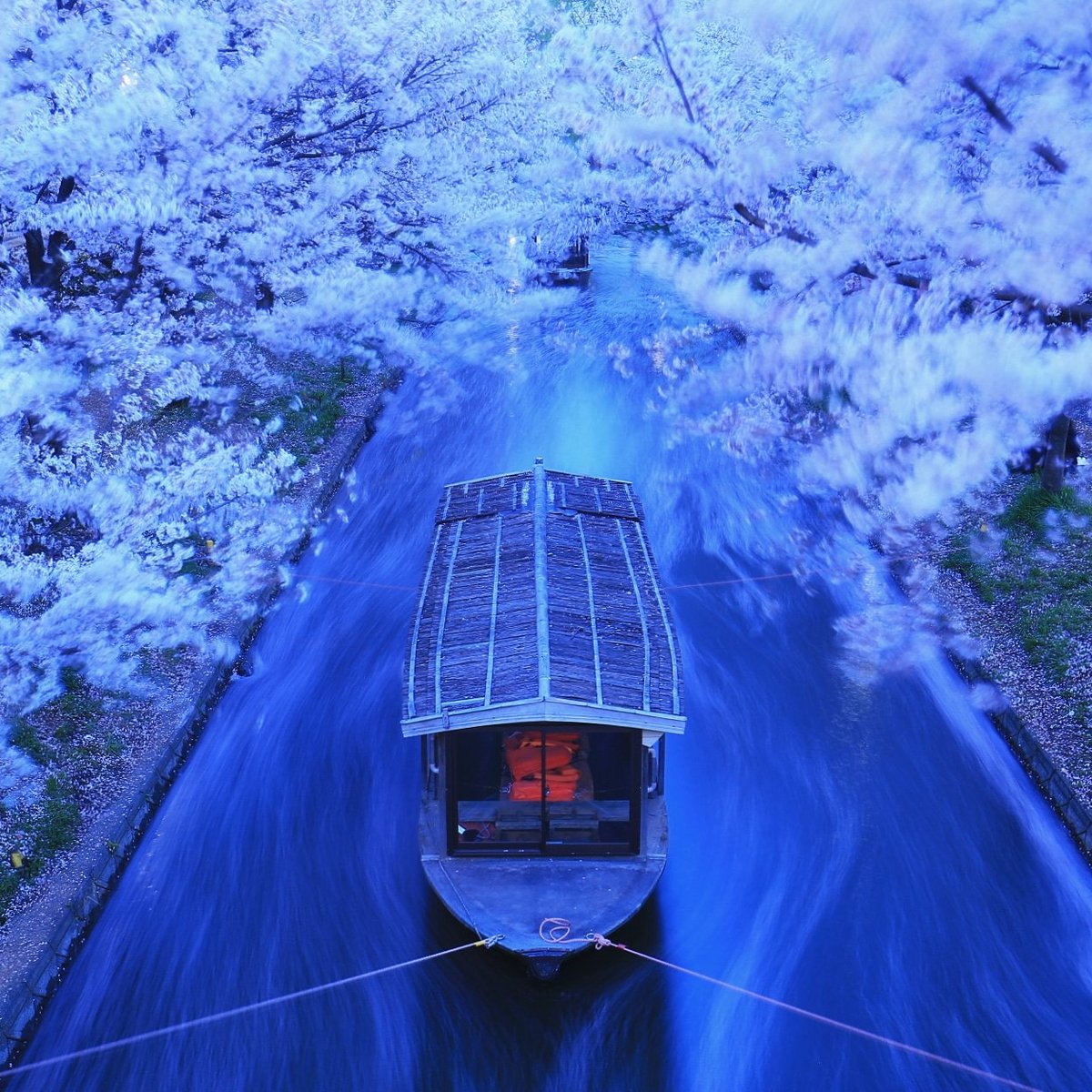 maaaaberaaaa's tweet photo. #2019年自分が選ぶ今年の4枚
青い京都写真4枚
・東福寺
・伏見港
・嵯峨天皇陵
・朝霧橋 https://t.co/uHC6uOaedW