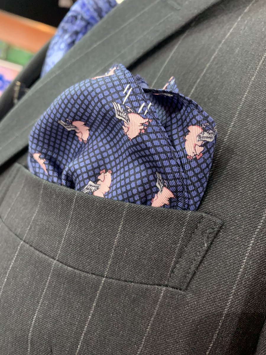 Hayley__Minogue's tweet image. *show opens* 
*toss to weather*
@DanielSechtin: “hey..... did you know pigs can fly?” 
Me: 🤨

#WakeUp11