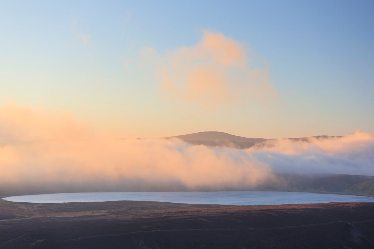 Janet Baxter tweet media