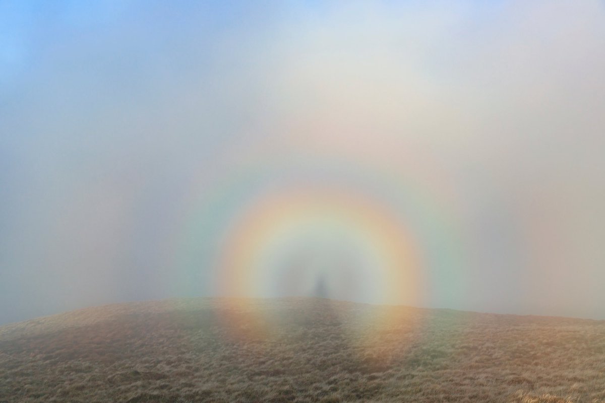 Janet Baxter tweet media