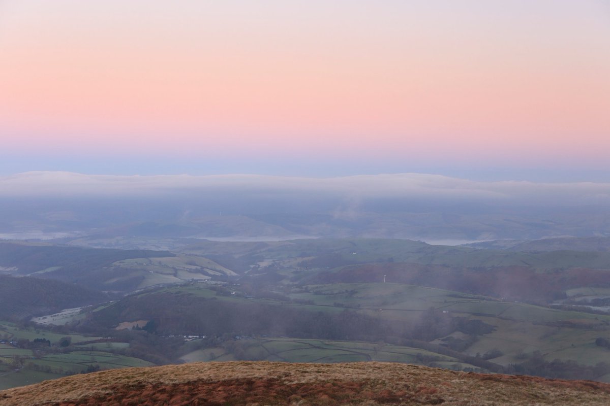 Janet Baxter tweet media