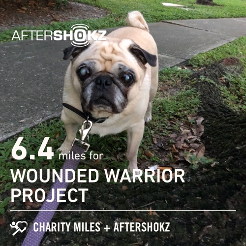 6.4 @CharityMiles for @wwp. Thx @Aftershokz. #ShokzMiles charitymiles.org/aftershokz A special shout out to my walking buddy for 14 yrs!
