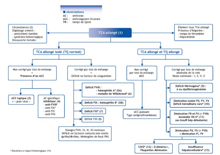 whoswise's tweet photo. #CATdevant: Enfant(F) de 4ans sans ATCD programmée pour amygdalectomie, ne présente aucun signe de saignement clinique ou infraclinique, le bilan préopératoire montre une TCK allongé sur deux prélèvements de contrôle. Faut il exploré ou pas ? https://t.co/gdtb1IRXjb