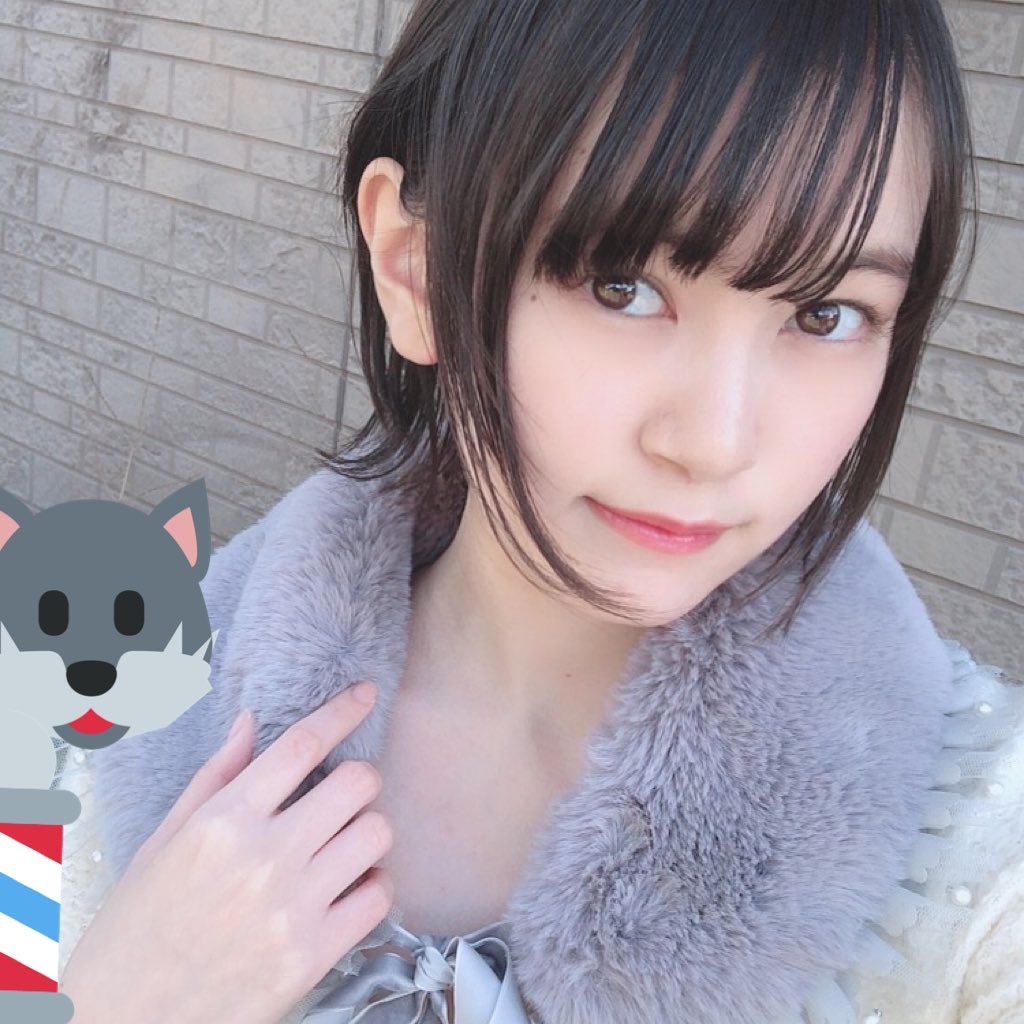 sumire_0701's tweet photo. Twitter…インスタと同期するの忘れてた…
生存報告怠りすみません生きてます🙇‍♀️

2019年末、十数年ぶりのショートヘアになりました。

微ウルフ&amp;ショートで頼んだ🐺
(襟足外ハネあっても無くてもウルフほぼ分からん)

家族曰く、これまでは小6くらいに見えてたのが実年齢に見える！とのことです。 https://t.co/bc1pmrvIwS