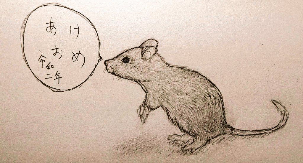 新年あけましておめでとうございます!
(ネズミってこうだっけ?) 