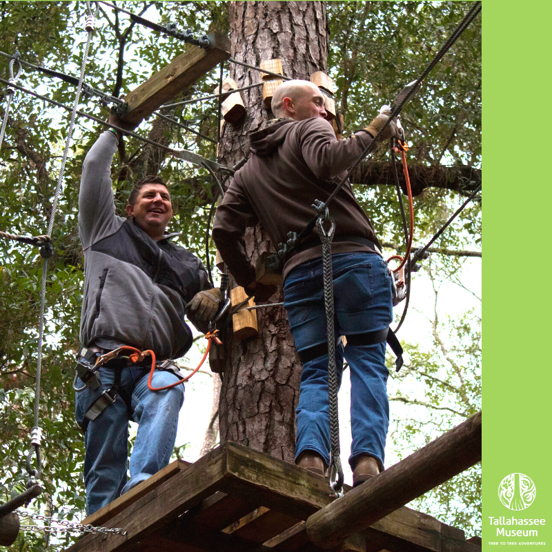 It's New Years Eve! What's your New Years Resolution? 

Celebrate the New Year with us at the Tallahassee Museum from 62 feet in the air on one of our Tree to Tree Adventures!

To check out our three Tree to Tree Zipline Courses, please Click Here: tallahasseemuseum.org/treetotreeadve…