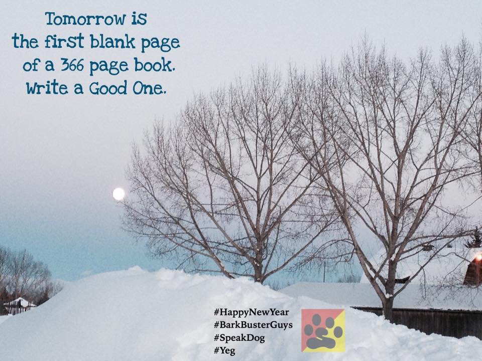 BarkBusterGuys's tweet photo. Tomorrow is the first blank page of a 366 page book. Write a Good One. #HappyNewYear #CleanPage #SpeakDog #Yeg #2020NewYear #2020WillBeTheYearFor https://t.co/WqRS45Mg3r