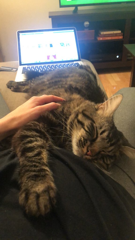 mmatherne6's tweet photo. @GaTech_Andrew @elyse5112 @SICBtweets I don’t know how much Mauricio helped on my talk, but he would love to collaborate on the snuggling 101 seminar. https://t.co/f0GZ2o4kG0