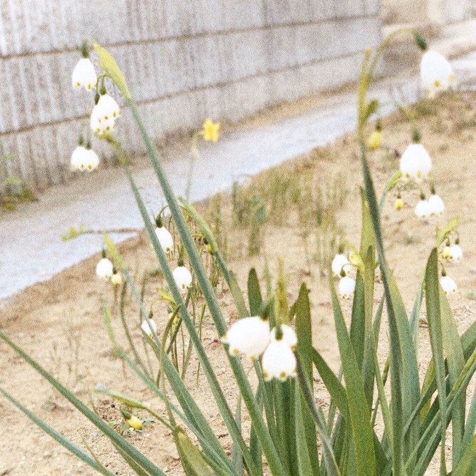 2020年明けましておめでとうございます✨
2019年は目紛しい1年で大変ではありましたが、自分と向き合い大きな成長に繋がった年でした。
これからも日々目指す自分に近づけるよう自分らしく精進して参ります！

2020年も皆様が良いお年を過ごせますよう、心から願っております。