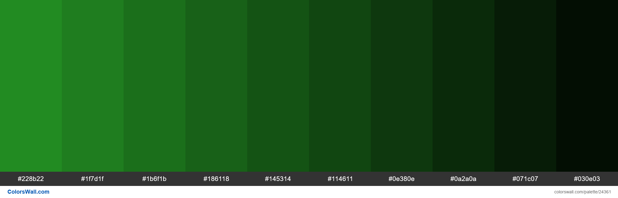 colorswall on X: Shades of Forest Green #228B22 hex color #228b22,  #1f7d1f, #1b6f1b, #186118, #145314, #114611, #0e380e, #0a2a0a, #071c07,  #030e03 #colors #palette   /  X