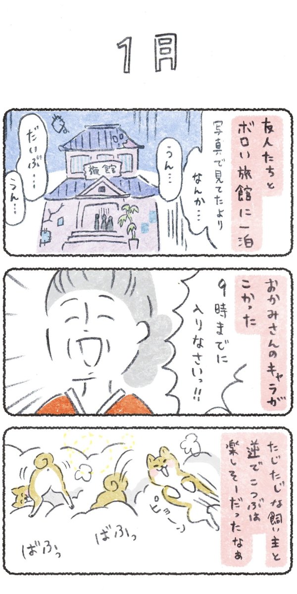 あと4時間で今年もおわり〜〜?
今年も大変お世話になりました!
みなさまどうぞ、良い年をお迎えくださいませ☺️
私たちの1年はこうでした☆→
(5月の存在感...)
https://t.co/oOt1iuiF1b
来年もどうぞよろしくお願いいたします!☺️
