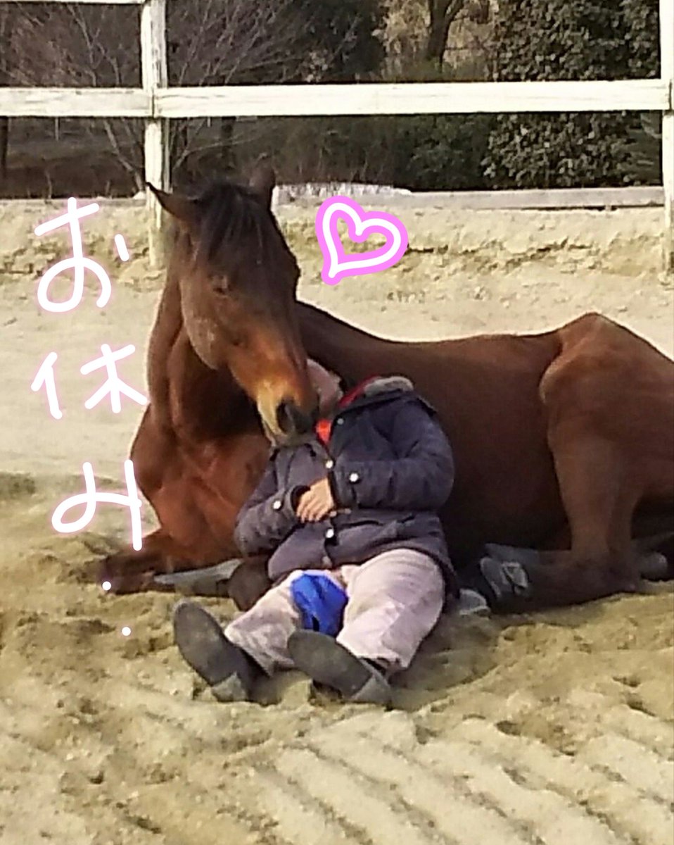 愛知牧場 今年も愛知牧場のtwitterをご覧いただきありがとうございました 年も楽しいtwitterにしていきたいと思っています 来年もよろしくお願いいたします 愛知牧場は元旦お休みです １月２日からパターゴルフと引馬が楽しめます では 良いお