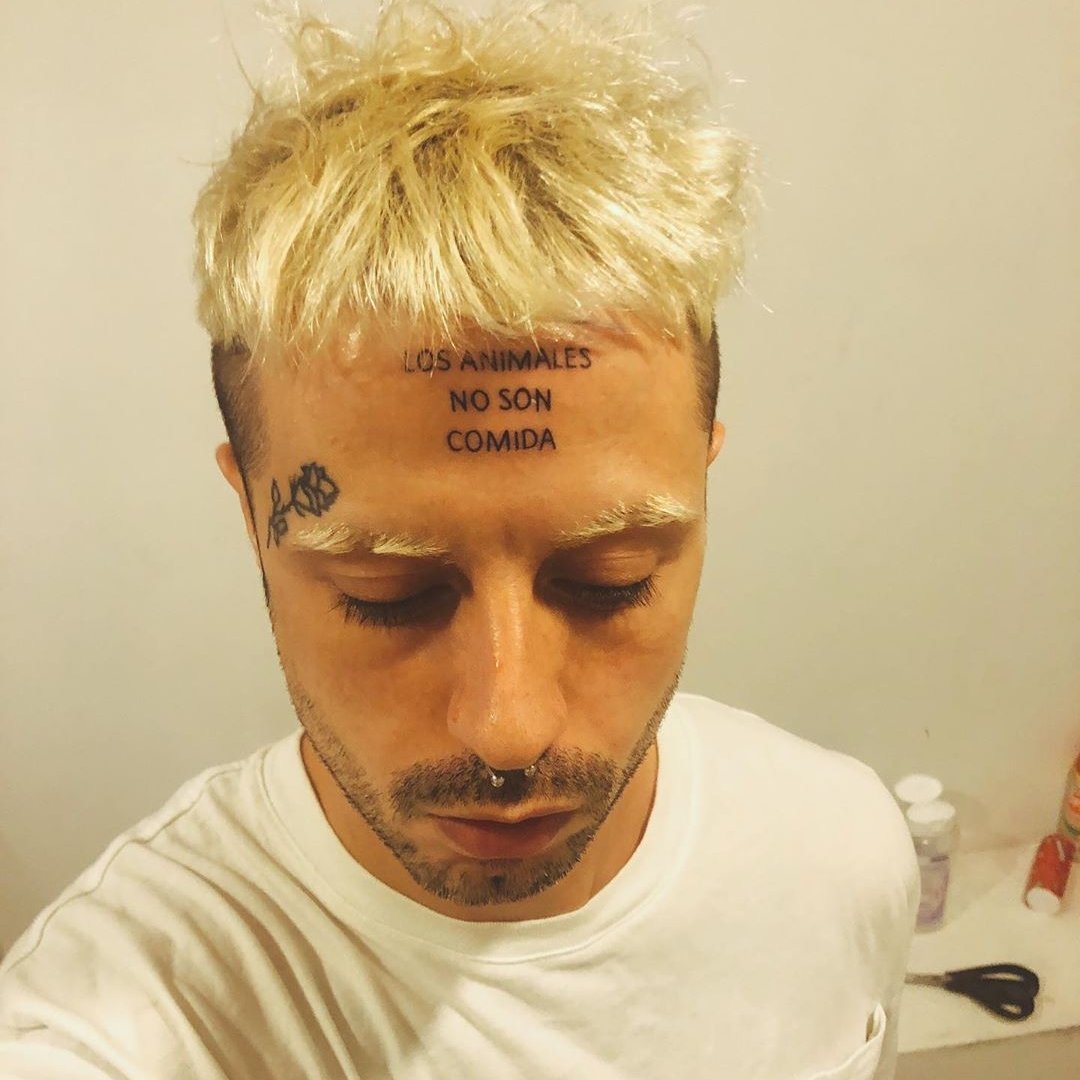 Los animales no son comida 🌱💚 #veganboy