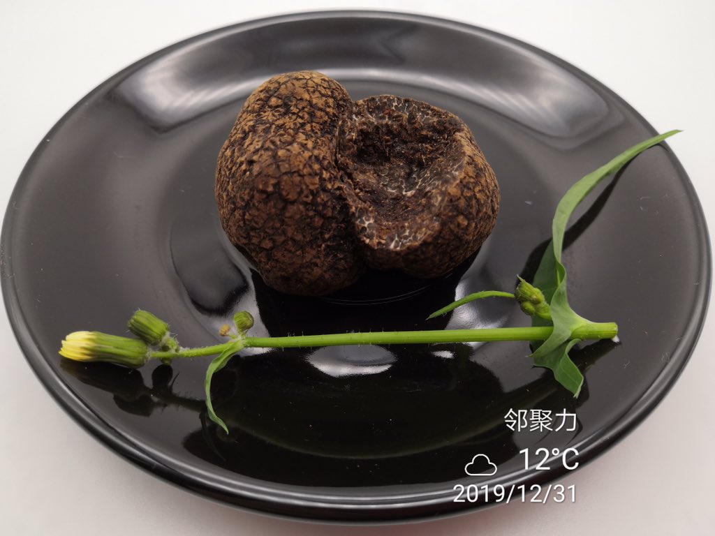 chinesetruffles's tweet photo. #foodandbeverage #chefsclubtaipei #cheflife #specialtyfood #seoulchef #macauchef #dubaichef #shanghailife #shanghaichef #chinachef #hkchef #bangkokchef #nychef #beijingchef #chefstable #trufflehk #mumbaichef #michelinguide #michelinstarchef #frenchrestaurant #italianrestaurant https://t.co/RauMu5XeU5